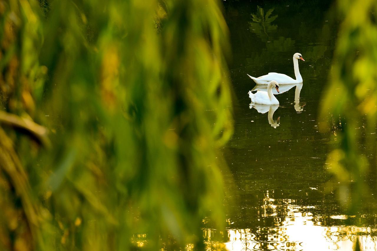Lacul Verde Resort Ploiesti Ngoại thất bức ảnh